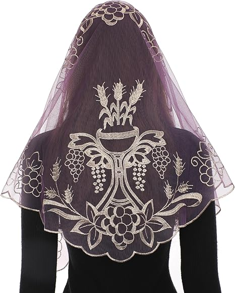 Bozidol Mantilla Veils for Church Catholic, Spanish Triangle Chalice Lace Chapel Veil, Latin Mass Head Coverings for Women